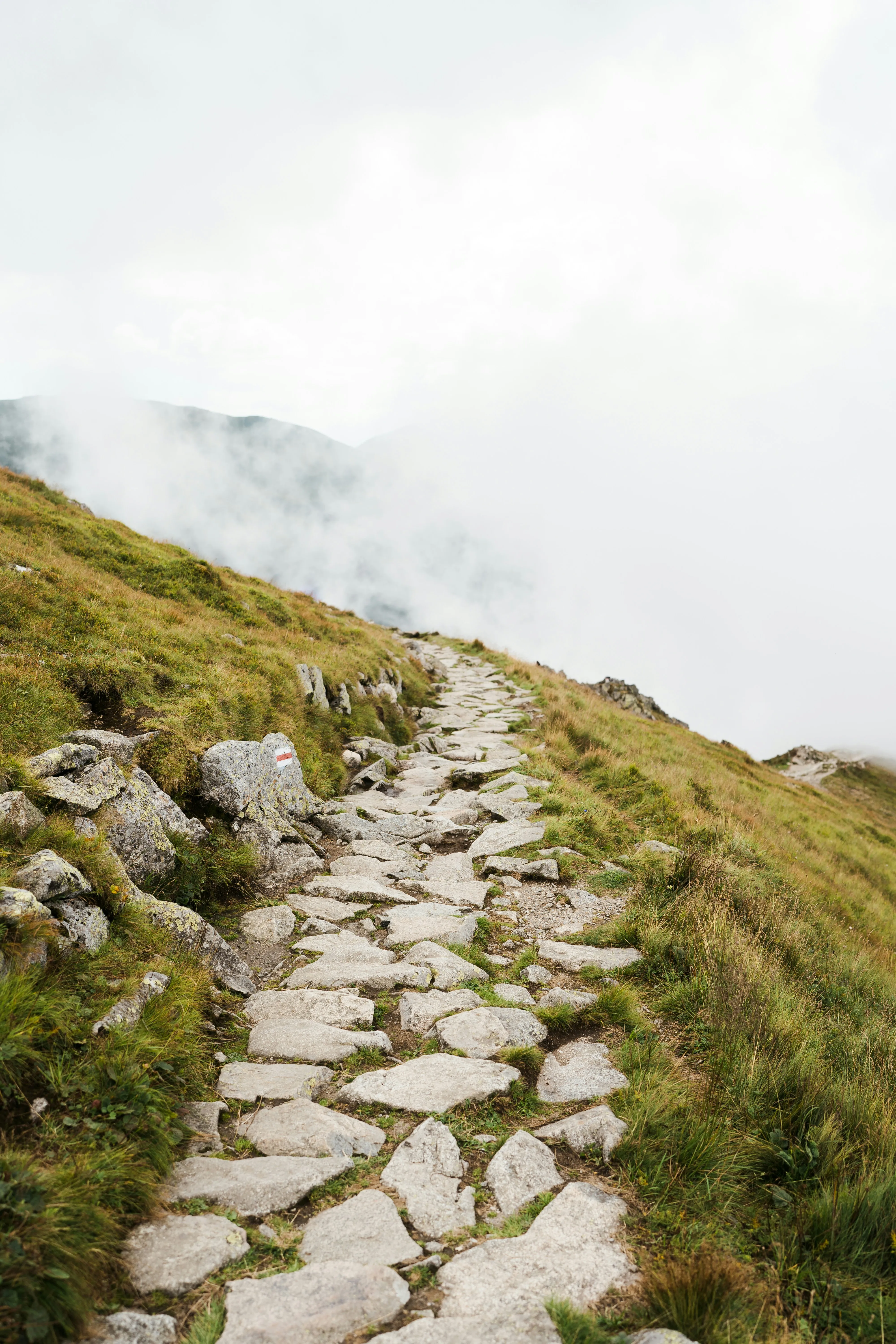 Steiniger Weg der Leitbildentwicklung