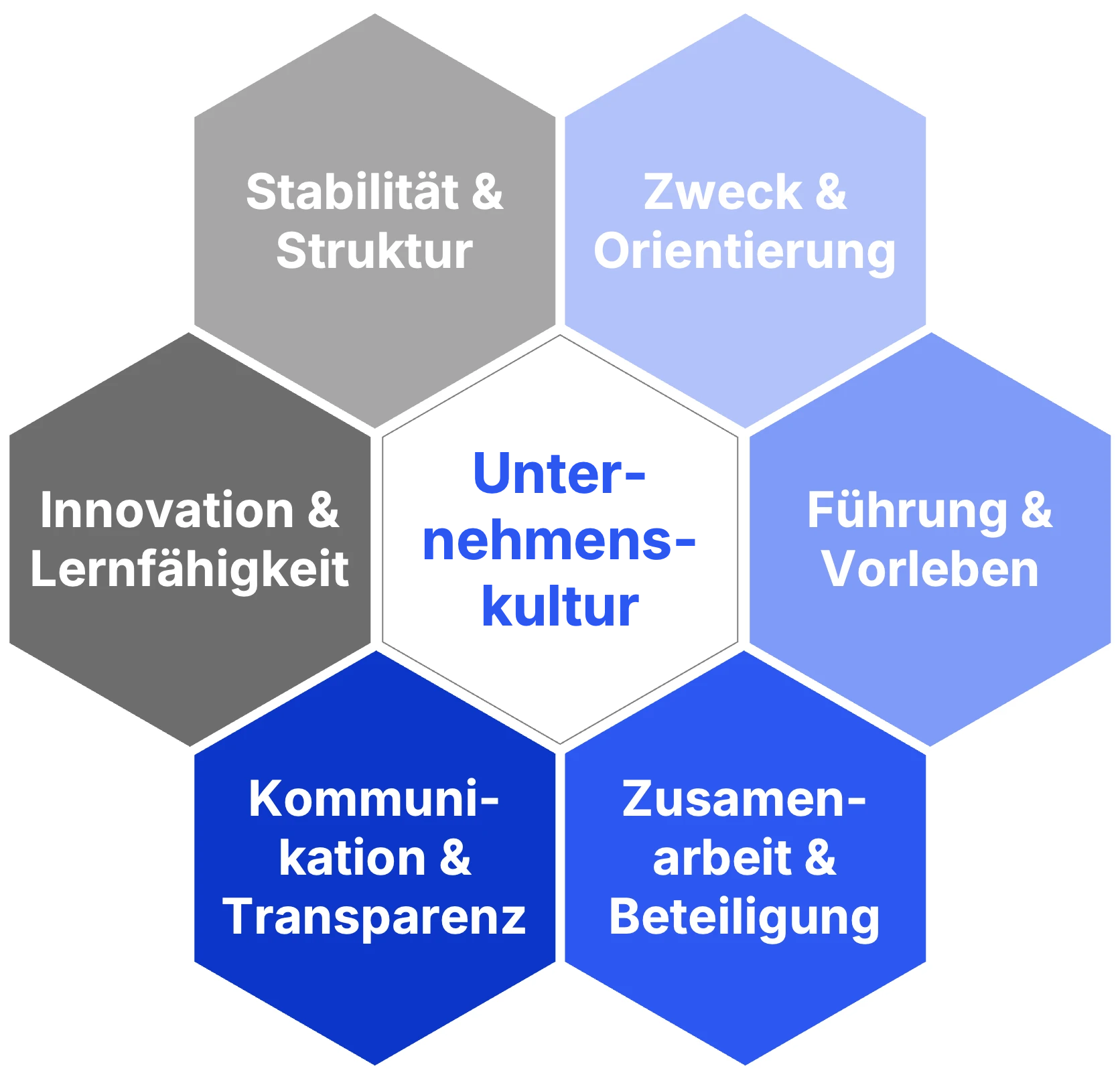 Unternehmenskultur-Test mit 6 Dimensionen: Stabilität, Innovation, Führung, Kommunikation, Zusammenhalt & Orientierung im Kultur-Test